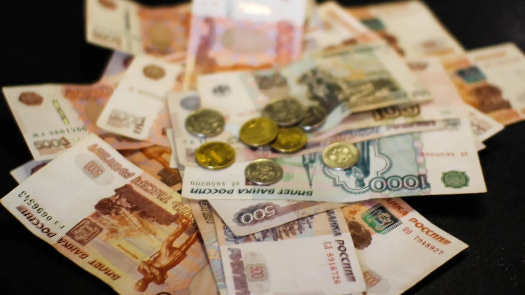 Фото: Илья Тушев / Вести Подмосковья