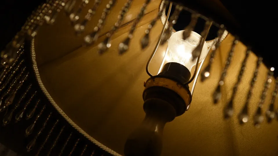 Фото: Медиаархив Подмосковья