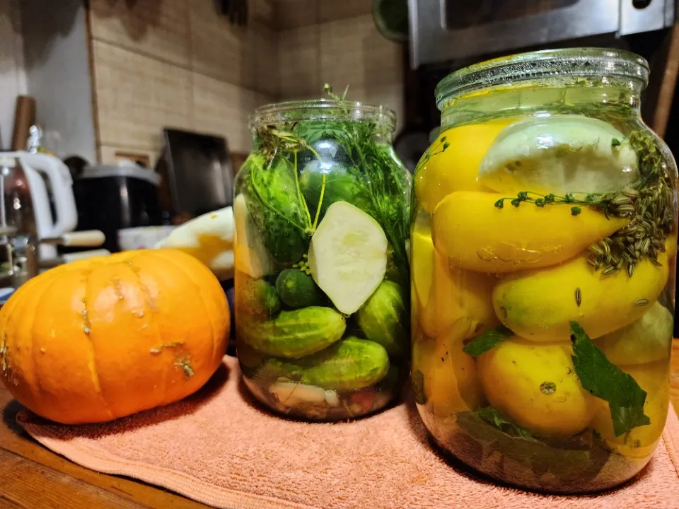 Фото: МедиаБанк Подмосковья/Ксения Пашуто