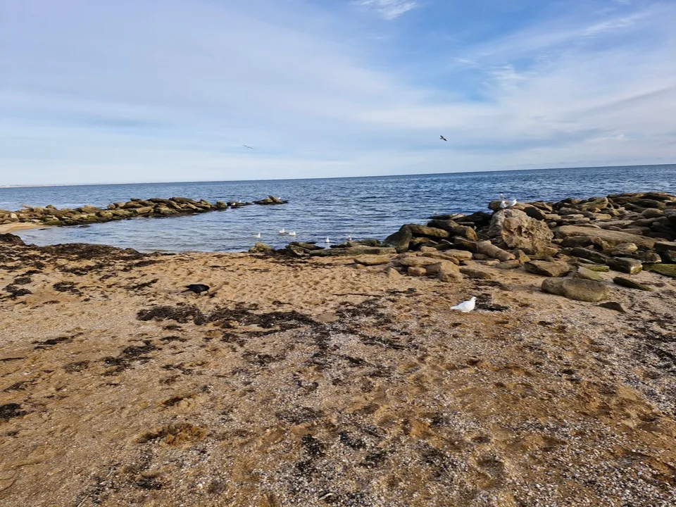 Фото: REGIONS/Наталия Надточая