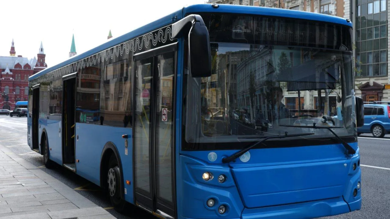 REGIONS/Дарина Левкина