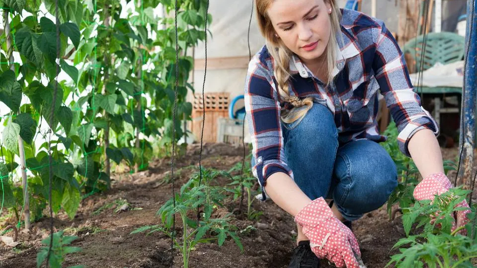 Фото: istockphoto.com