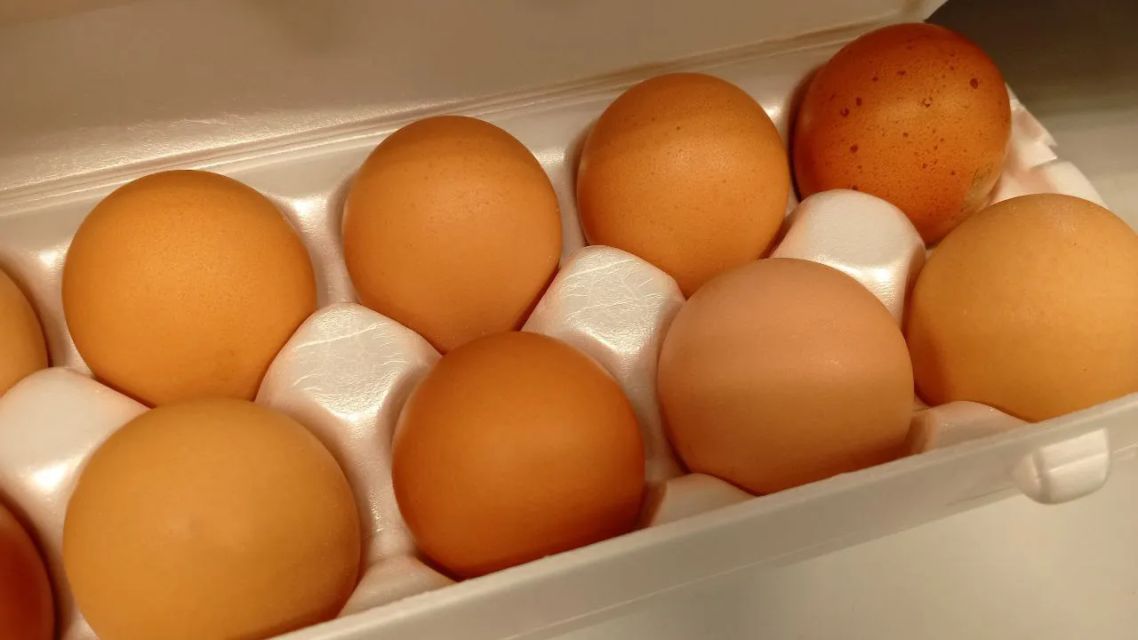 Фото: REGIONS/Василий Тремасов