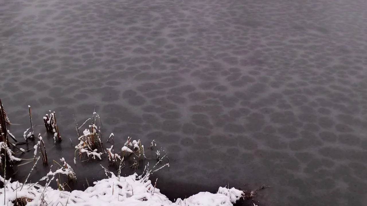 Фото: REGIONS/Василий Тремасов