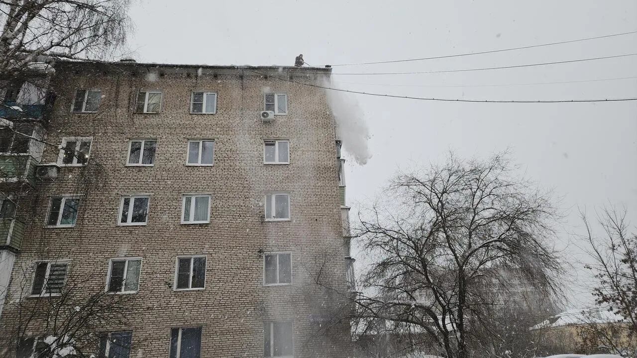 REGIONS/Валерия Тингаева