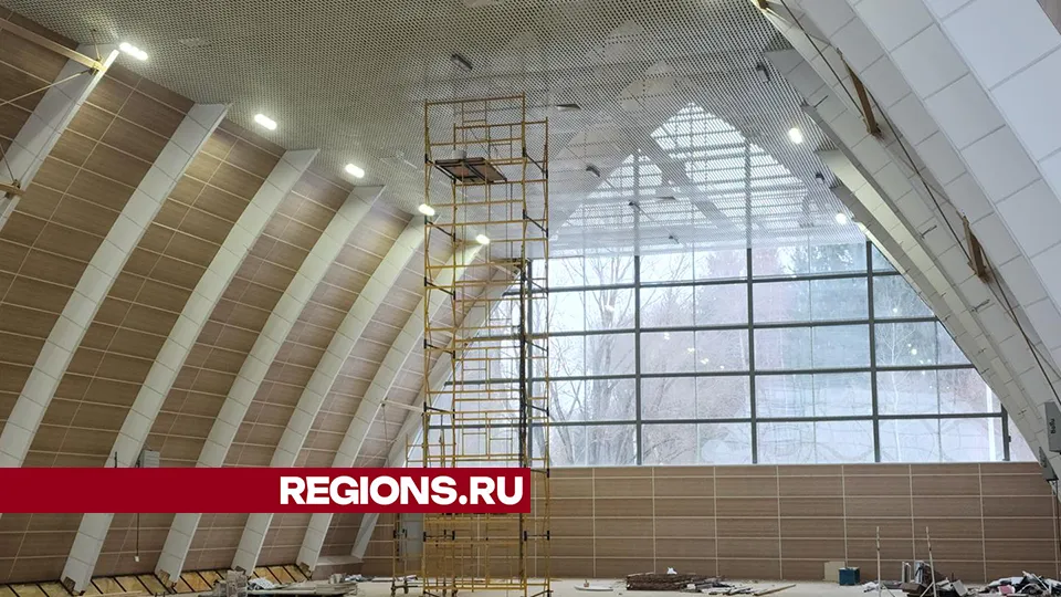 Фото: Дмитрий Беденко