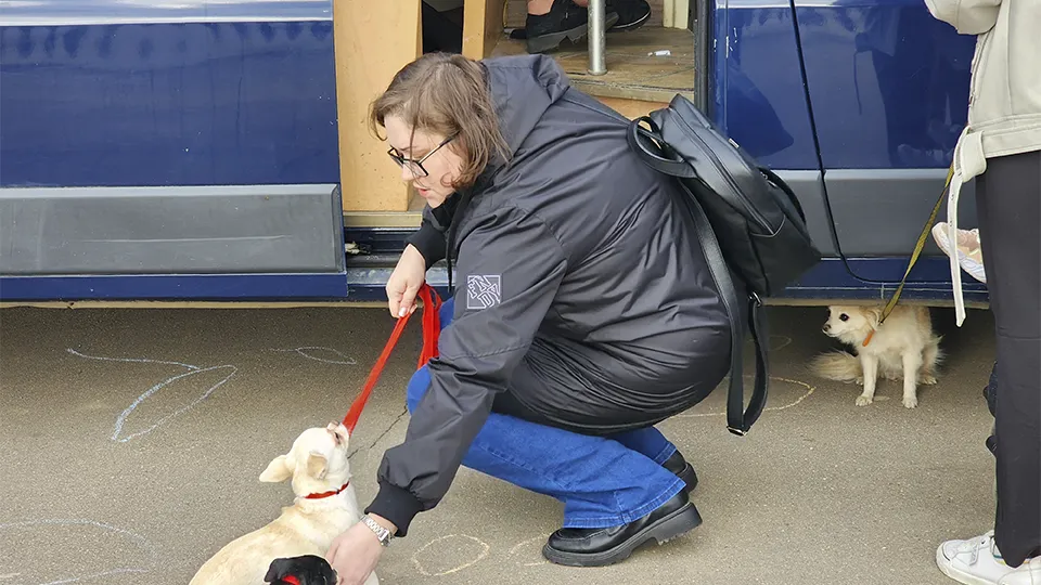 Фото: МедиаБанк Подмосковья/Михаил Раскин