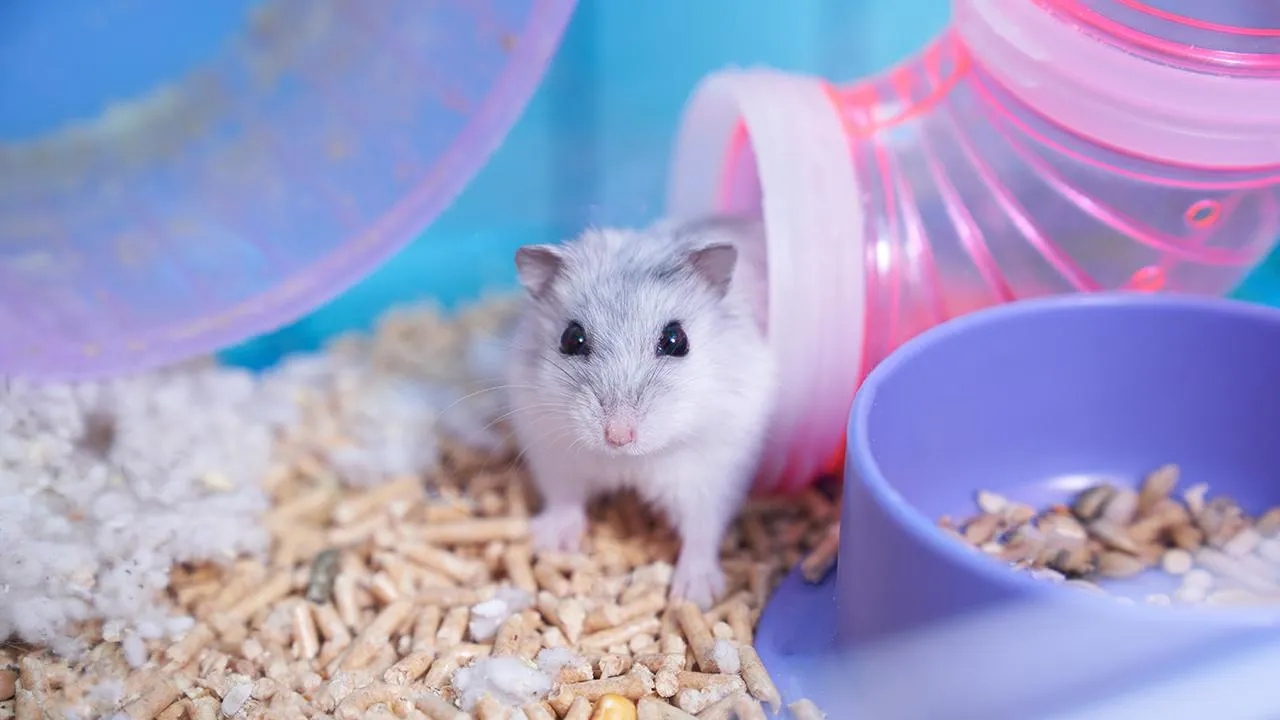 istockphoto.com/Darya Komarova