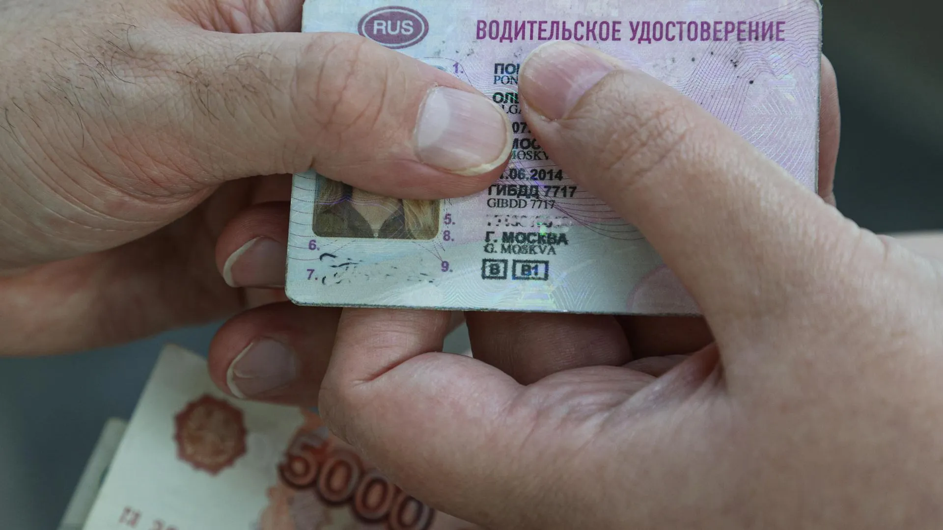 Bulkin Sergey/news.ru