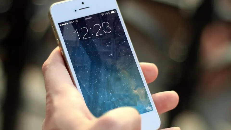 Фото: pxhere.com