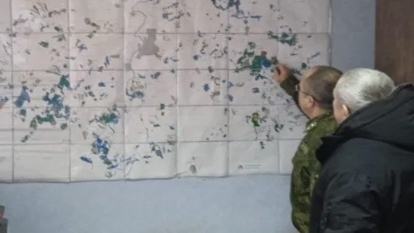 Фото: Комитет лесного хозяйства Московской области