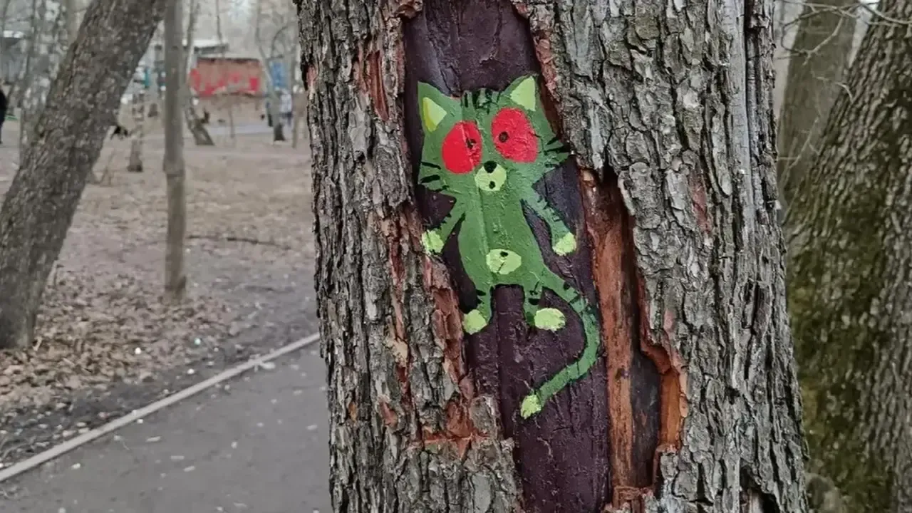 «Глазам не верится»: котики появились на деревьях в Балашихе и стали хитом парка