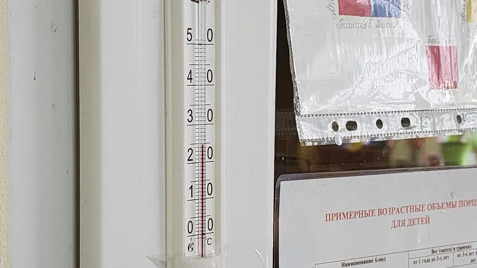 Фото: Светлана Плотникова