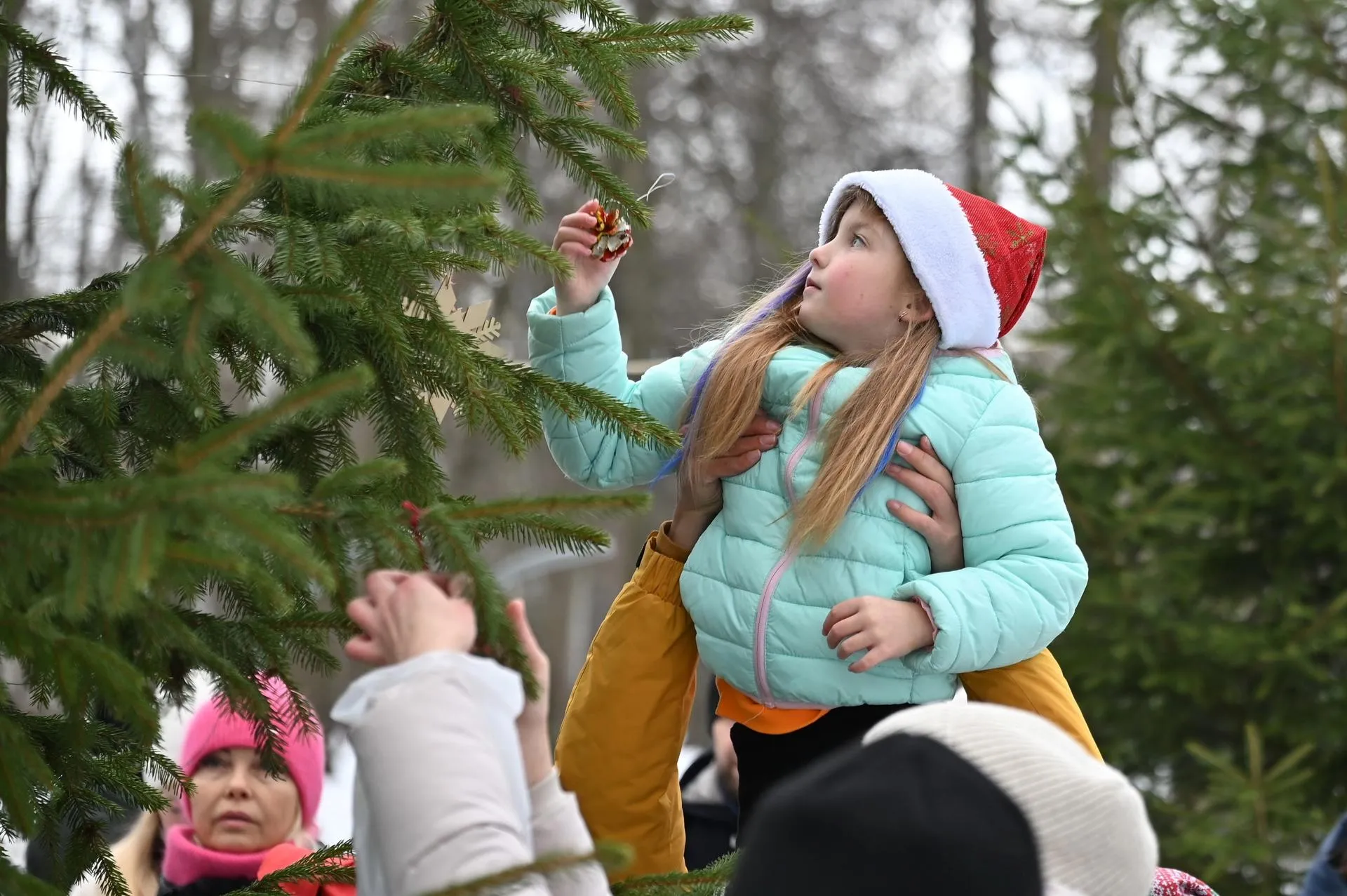 Фото: Сергей Демянюк