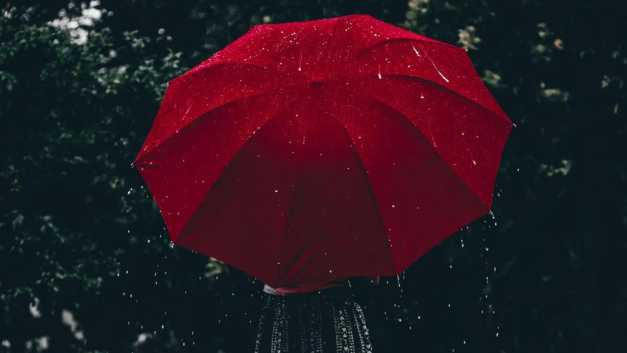 Unsplash