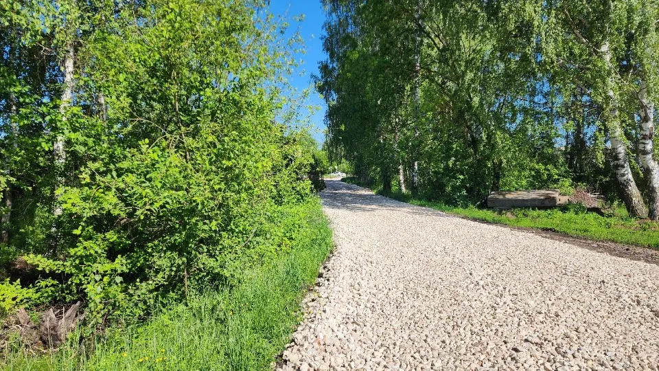 Фото: МедиаБанк Подмосковья/Вера Коренева