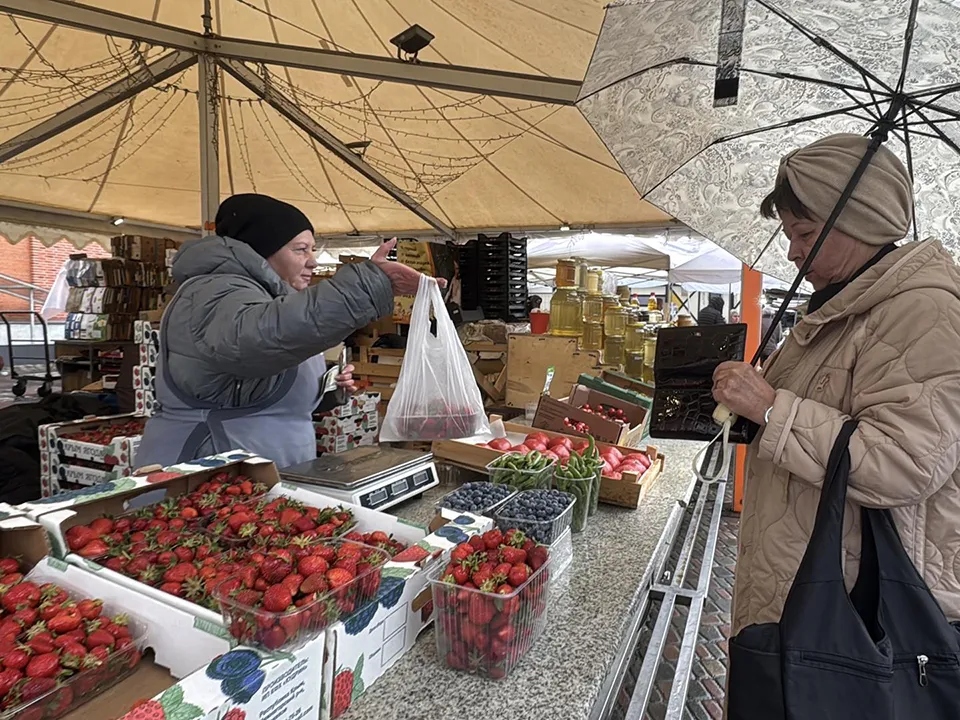 Фото: REGIONS/Мария Шматкова