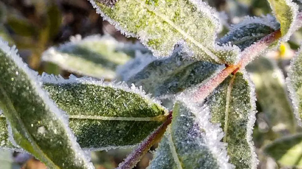 Фото: REGIONS/Роман Малышенко