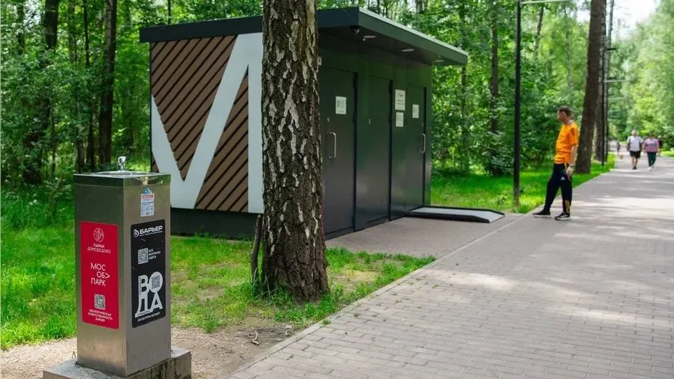 Фото: команда парков Домодедова