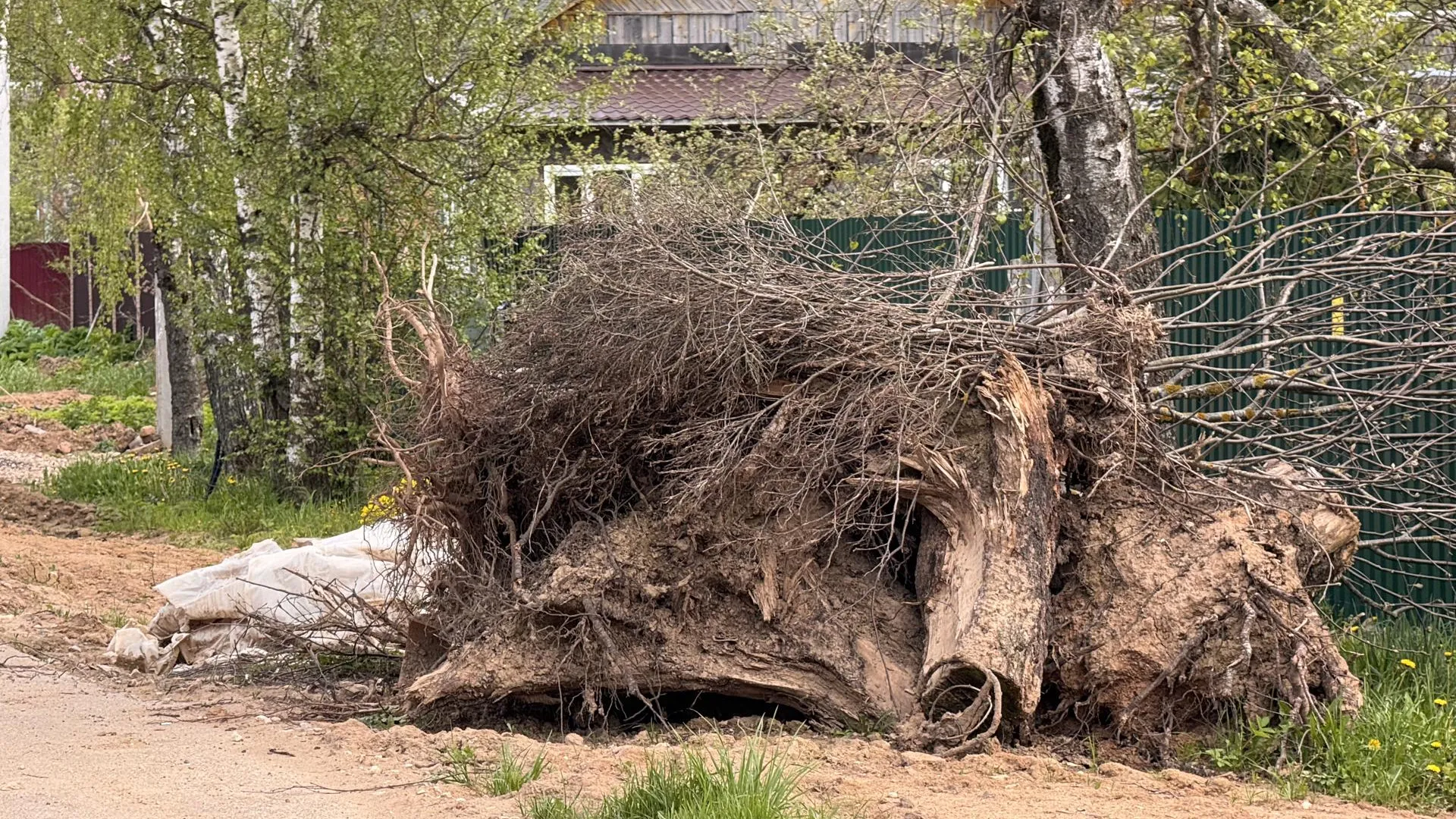 Фото: Татьяна Рунова