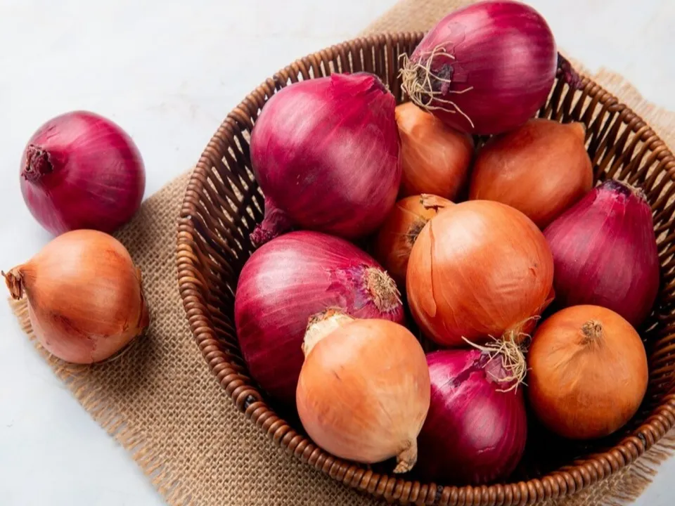 Фото: freepik.com&nbsp;&nbsp;