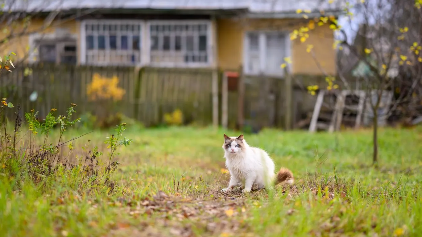 Фото: медиасток.рф