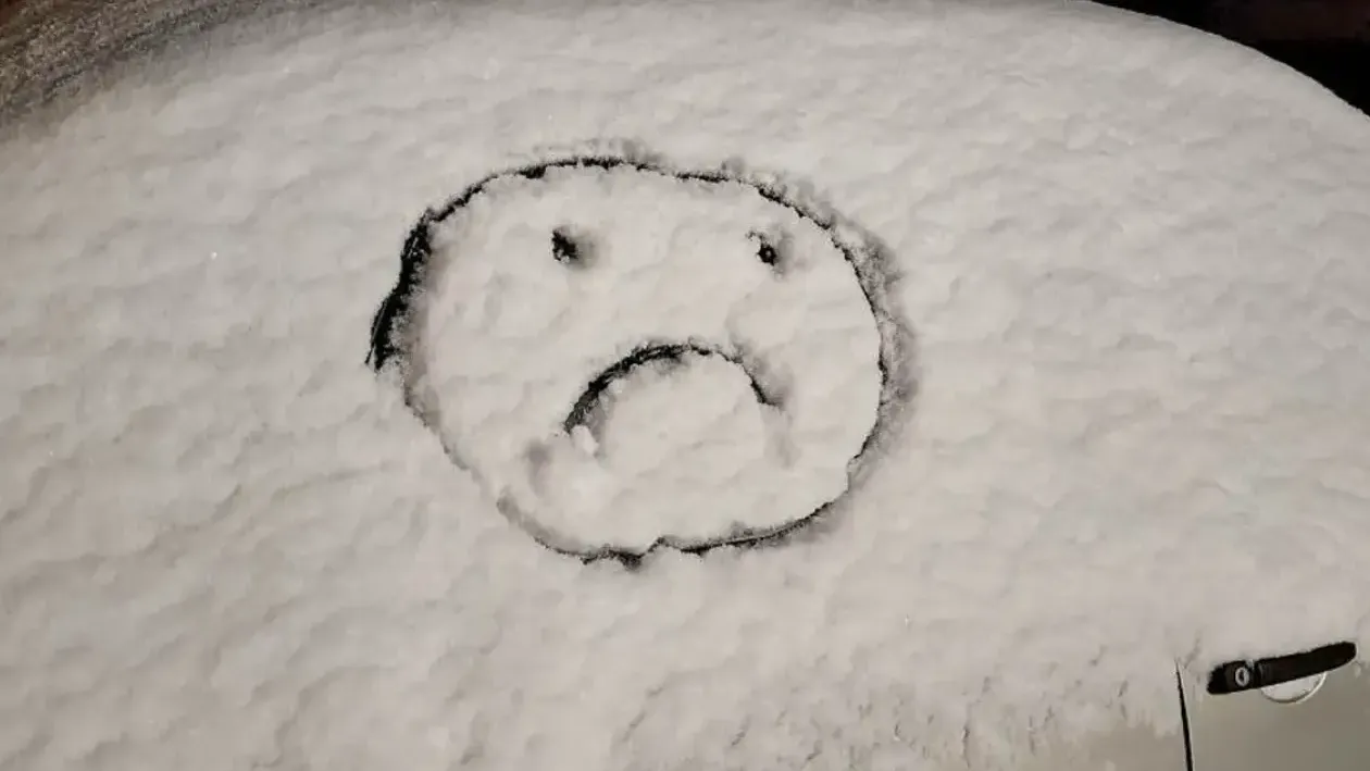 REGIONS/Юлия Габбасова