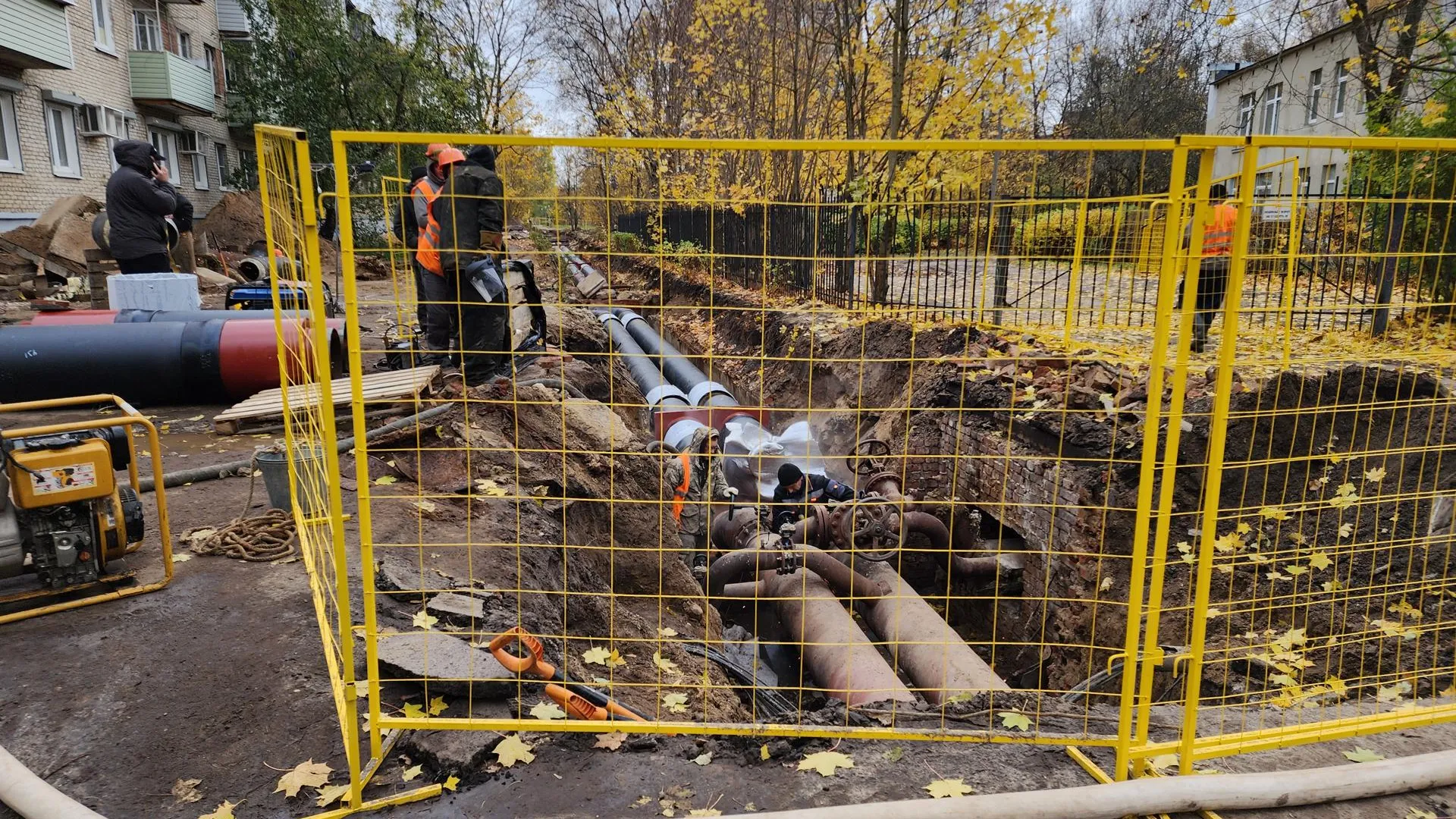 Фото: REGIONS/Иван Петрушин