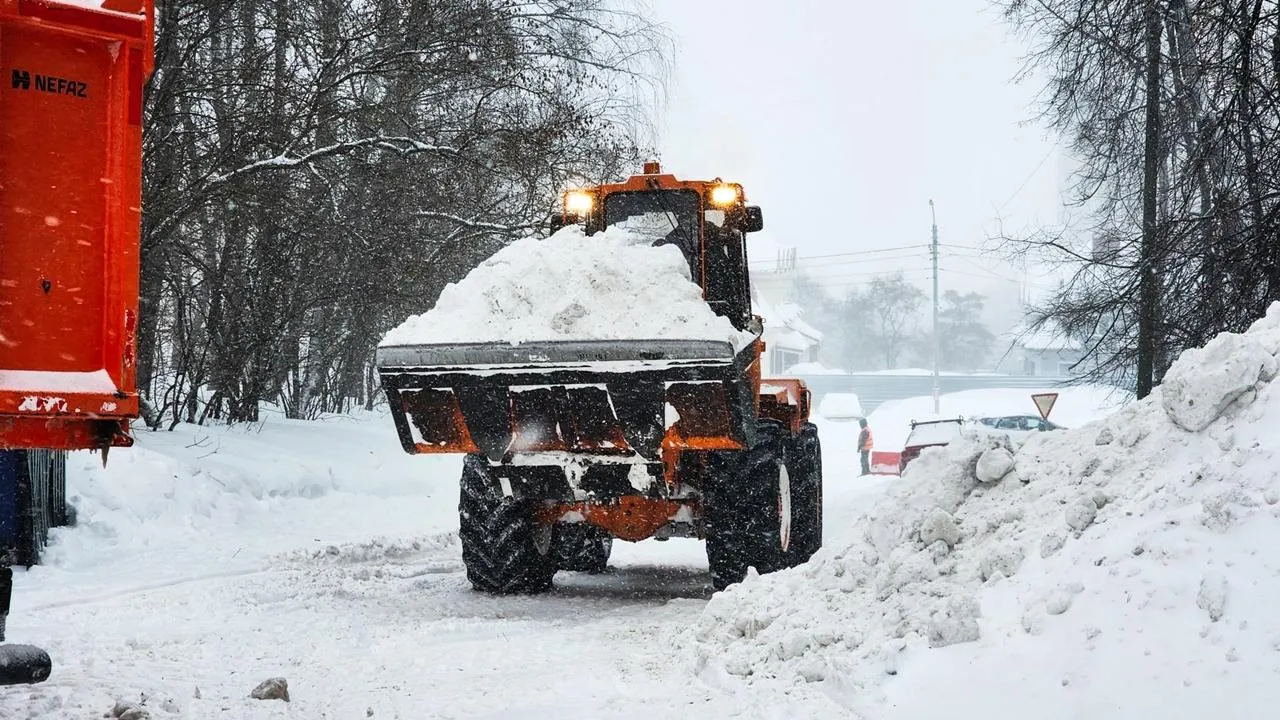 REGIONS/Мария Панина