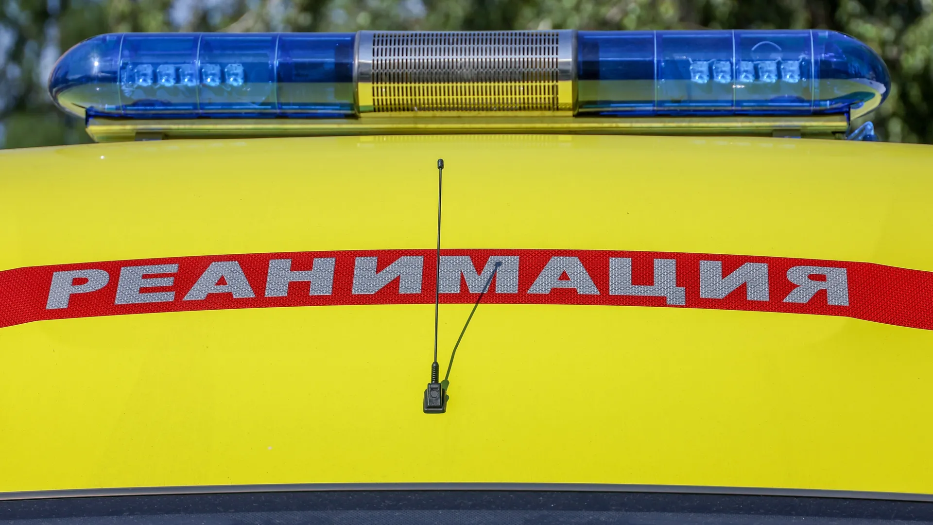 Фото: ТАСС/Кирилл Кухмарь