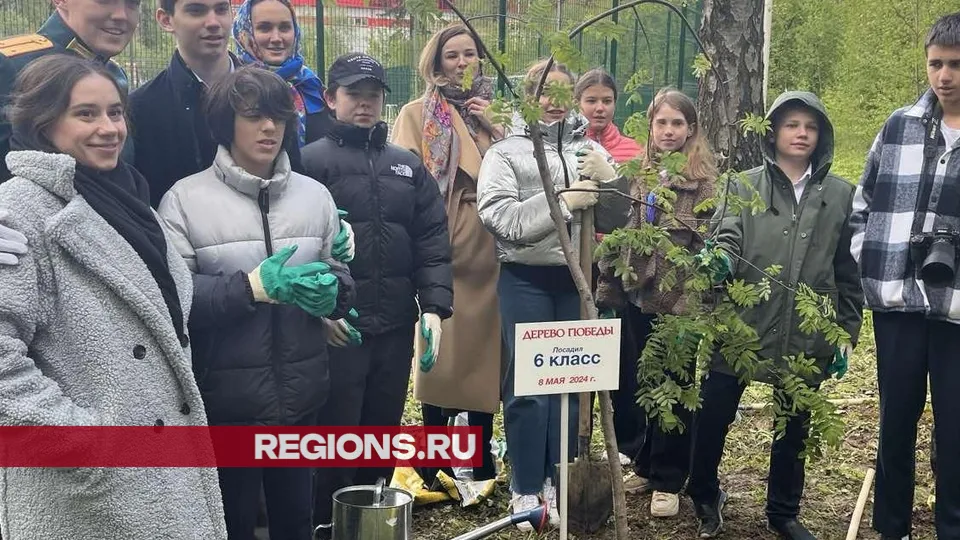 Фото: Мария Шматкова