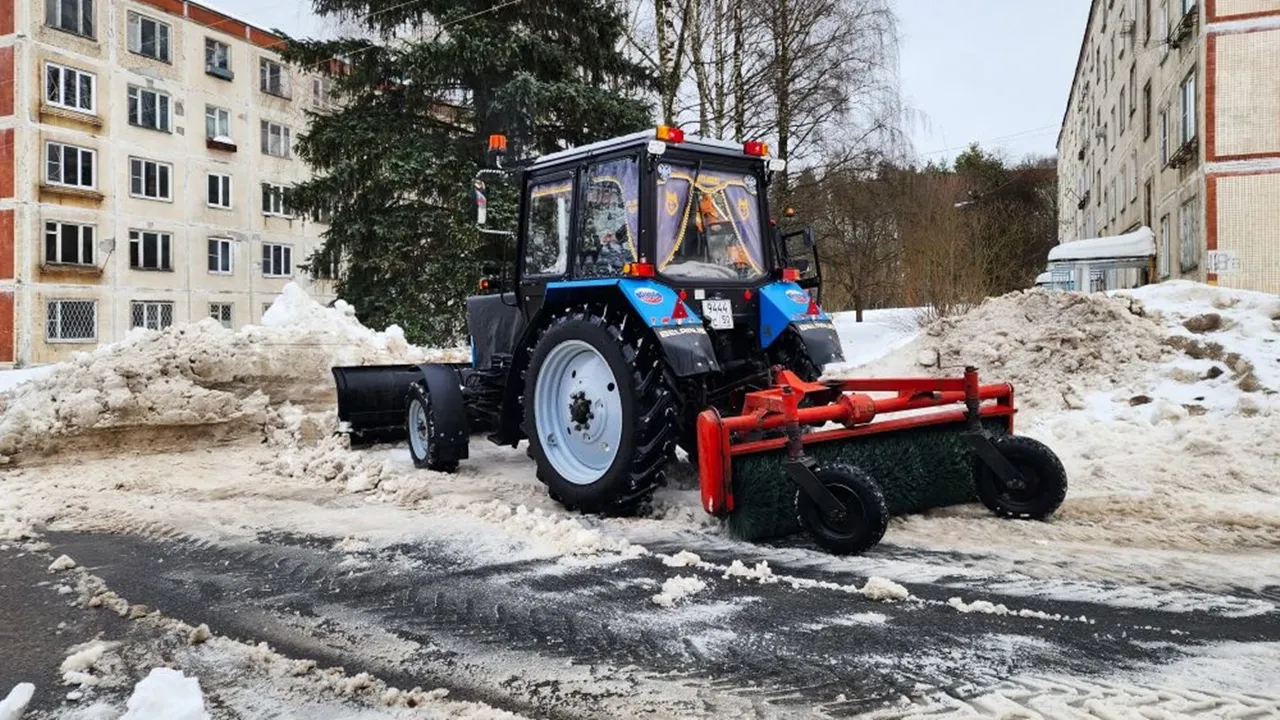 REGIONS/Мария Панина