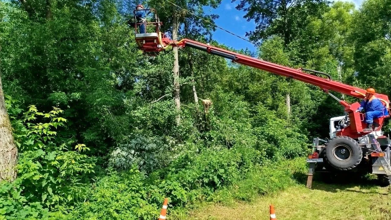 Фото: АО «Мособлэнерго»