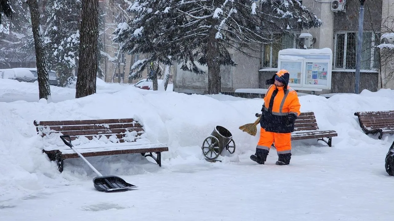 REGIONS/Анна Мороз