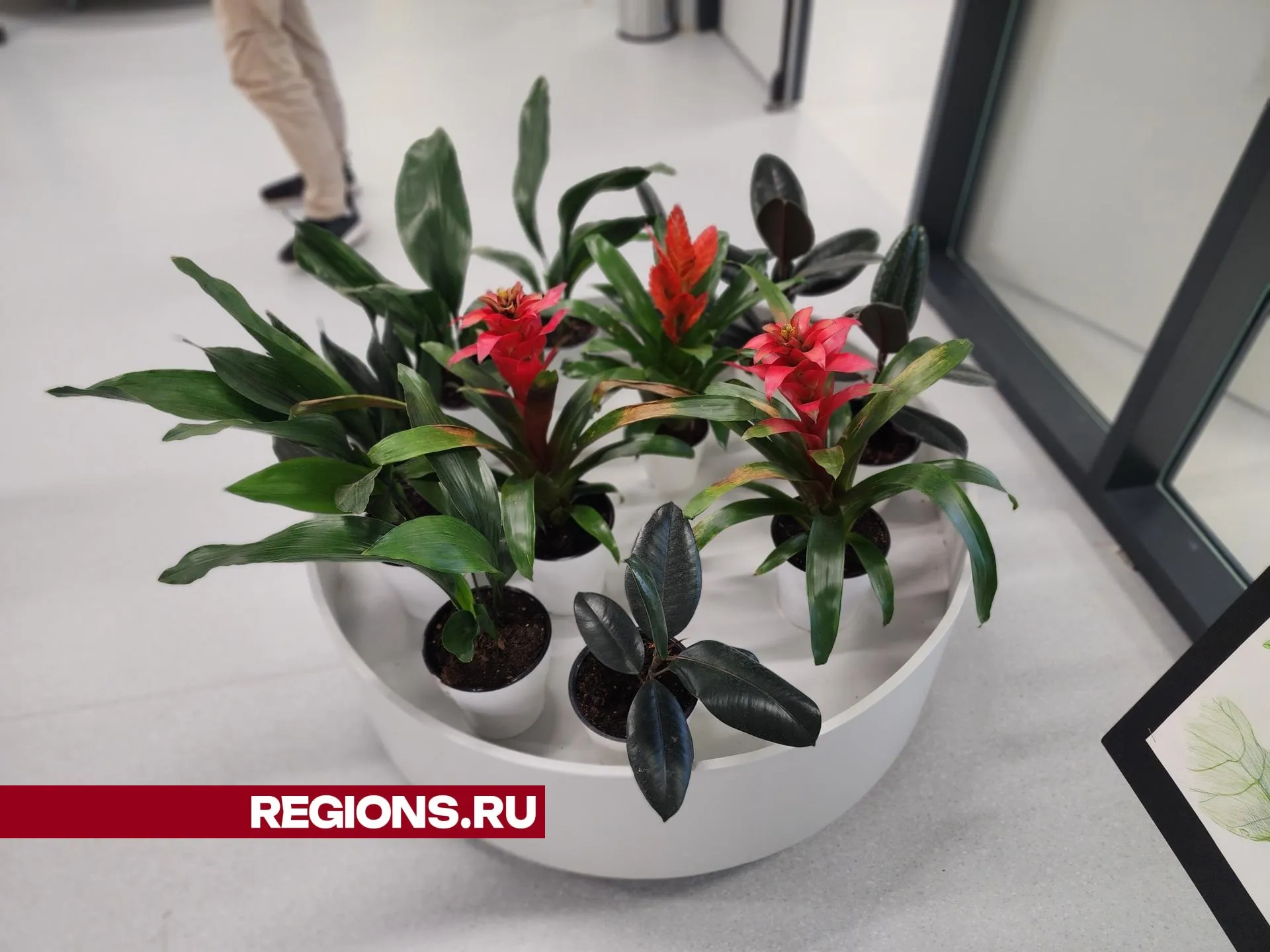 Фото: REGIONS/Михаил Раскин