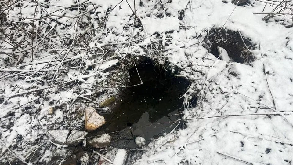 Фото: Минэкологии Московской области