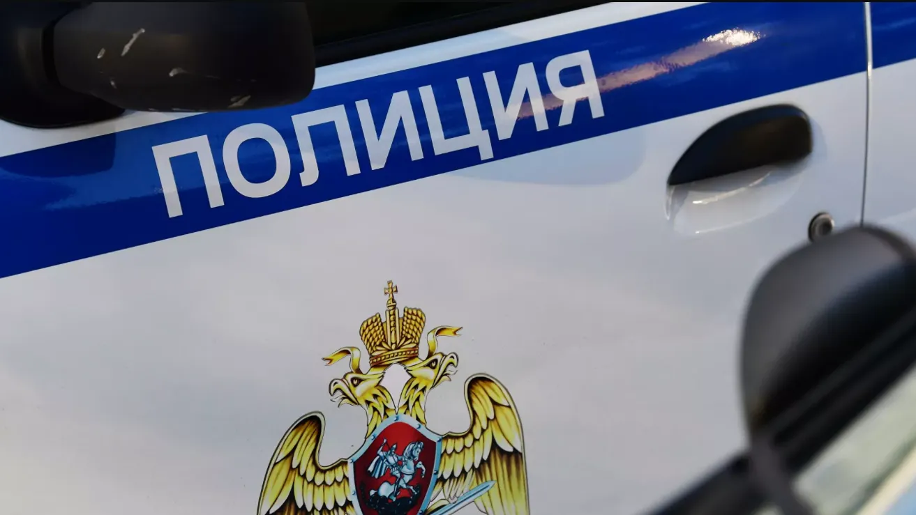 «Холодная и не может проснуться». Отец нашел бездыханную дочь в Шушарах