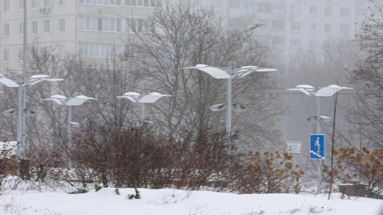 REGIONS/Роман Малышенко