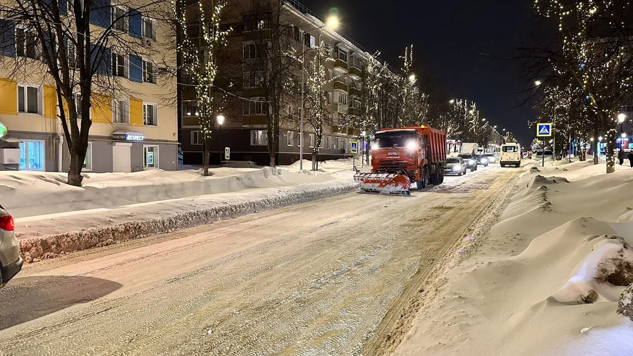 Фото: пресс-служба администрации г.о. Кашира
