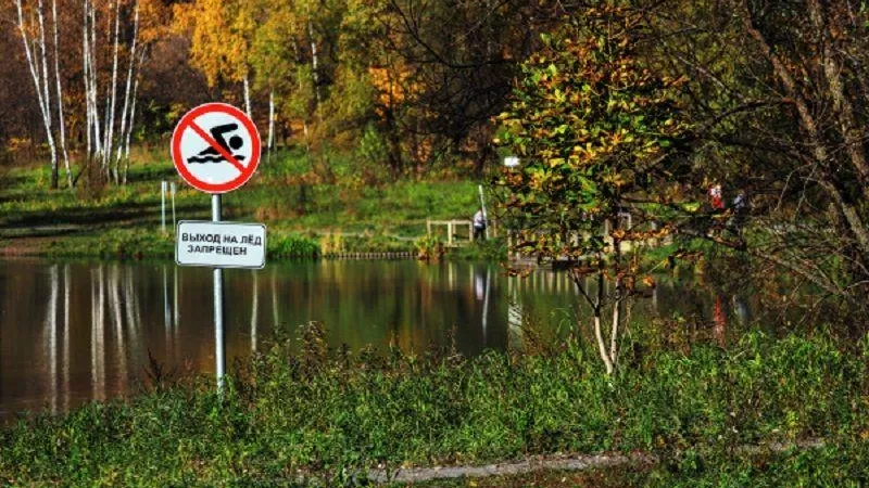 Владимир Песня / РИА Новости
