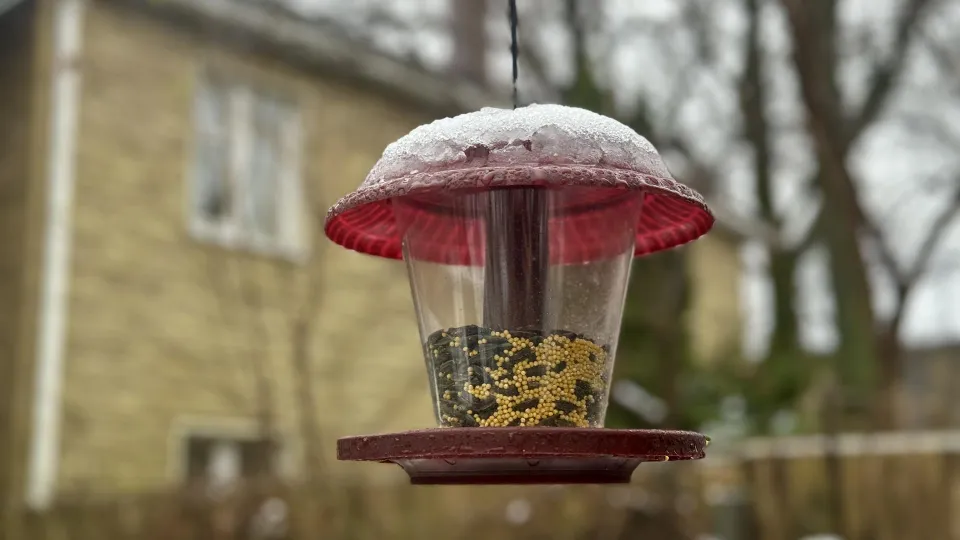 Фото: Полина Абраменко