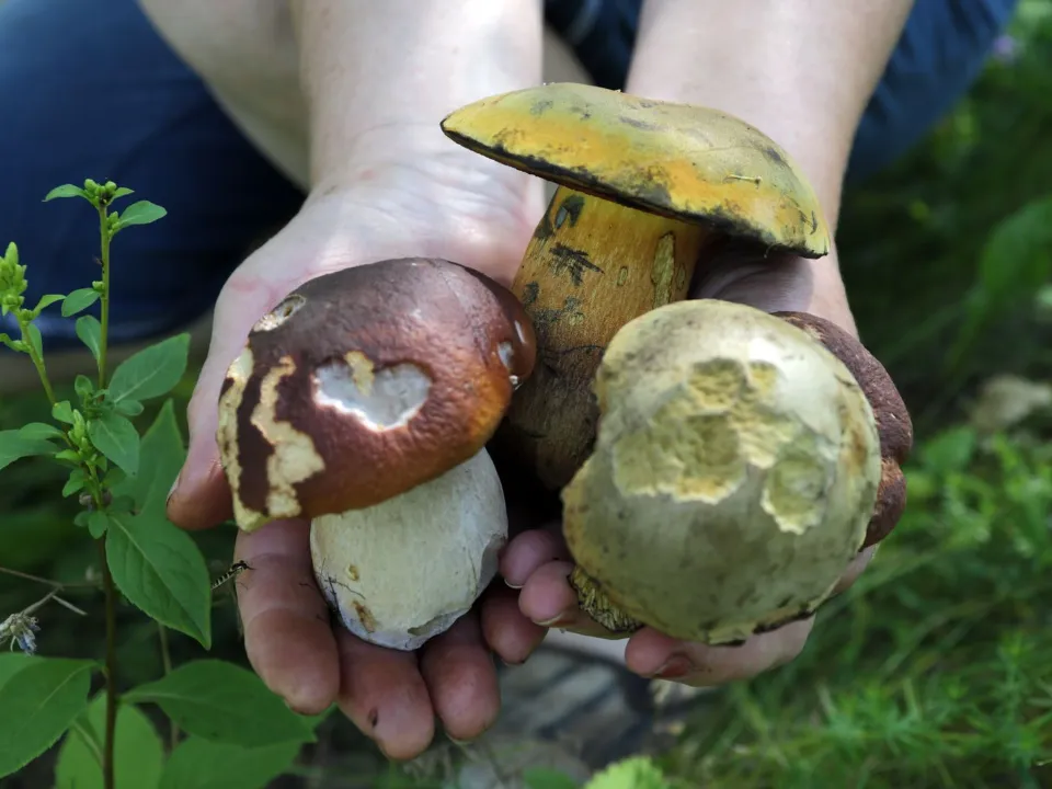 Фото: медиасток.рф