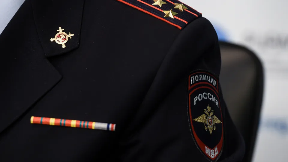 Фото: Медиаархив Подмосковья