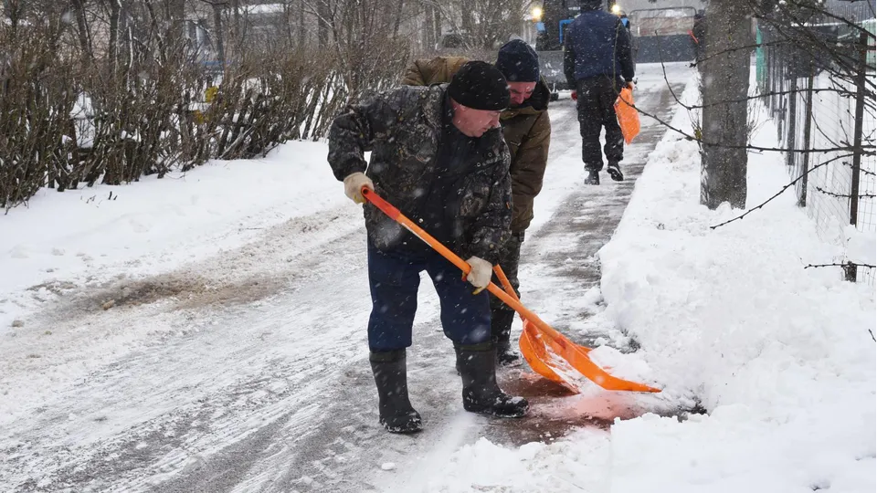 Фото: Владимир Останин