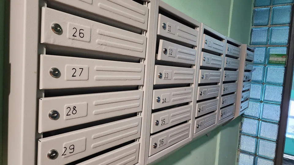 Фото: МедиаБанк Подмосковья/ Роман Савельев