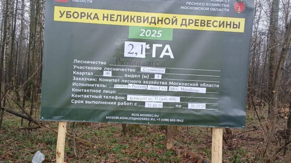 Фото: Комитет лесного хозяйства Московской области