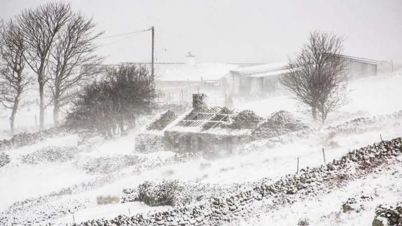 Как избавиться от болезни зимой: народные приметы на 24 декабря