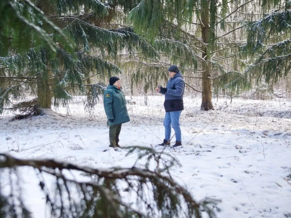 Фото: Комитет лесного хозяйства МО