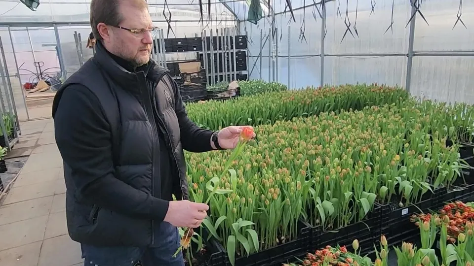 Фото: Медиабанк Подмосковья/Дмитрий Алексеенко