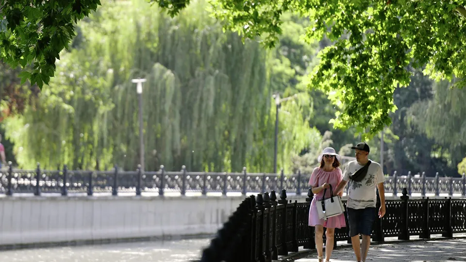 Фото: РИА Новости/Константин Михальчевский